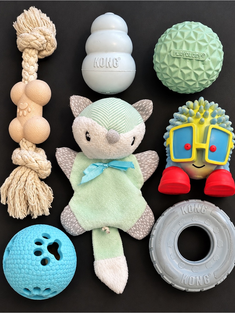 Puppy’s First Playtime Variety Bundle | KONG + Playology | Puppies & Small Dogs